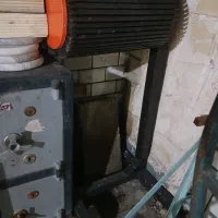 رگال دم فرشی