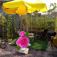 اجاره روزانه خانه ویلایی