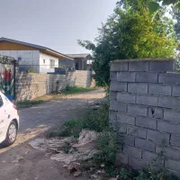 فروش فوری زمین  باغی|فروش زمین و ملک کلنگی|دابودشت, |دیوار