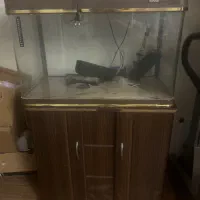 آکواریوم سالم