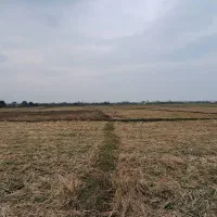 زمین‌ مزروعی ۱۵/۰۰۰متری تسطیح‌نشده در تالش کلفارود|فروش زمین و ملک کلنگی|تالش, طولارود|دیوار