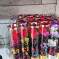 گل استوانه ای|گل مصنوعی|تهران, بهداشت|دیوار
