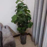 گل مصنوعی