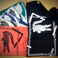 تیشرت دورس هودس