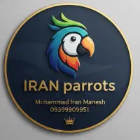 گرینچیک آناناسی.یلوساید.مونچیک.ردچیک.سانچیک