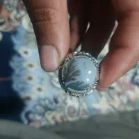 شجر قائن