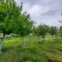 خانه ویلایی 1300 متر زمین ۱۴۰ متر بنا منطقه فامنین
