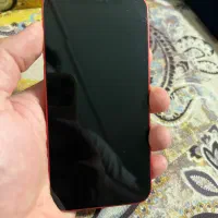 Iphone 12|موبایل|بم, |دیوار