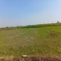 فروش زمین|فروش زمین و ملک کلنگی|فاضل آباد, |دیوار