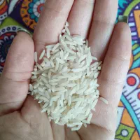 برنج هاشمی درجه یک۲۷۰