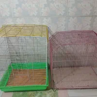 قفس