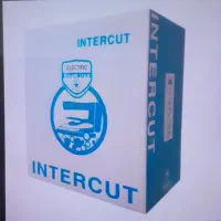 اتو بخار سرمی