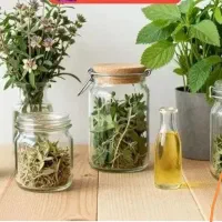 از دردهای  سنگ کلیه و کیسه صفرا خسته شده‌اید