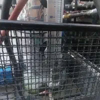 دستگاه کارواش بخار سیار طراحی شده برای پرایدوانت|ماشین‌آلات صنعتی|تهران, خرمشهر|دیوار