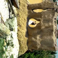 Fpv فیلمبردار|خدمات پذیرایی، مراسم|تهران, شهرک پرواز|دیوار