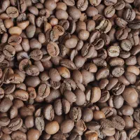 فروش ویژه دان قهوه اقتصادی