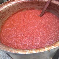 رب خانگی اعلاء|خوردنی و آشامیدنی|تهران, شکیبا|دیوار