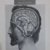 جزوه ی زیست یازدهم تجربی تا فصل ۴|کتاب و مجله آموزشی|اهواز, گلستان|دیوار
