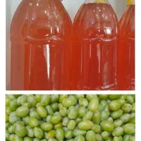 محصولات خونگی و ارگانیک به شرط ضمانت مرجوعی***|خوردنی و آشامیدنی|تهران, فرزانه|دیوار