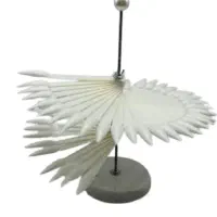 فن رومیزی زیردستدارناخنکار،چراغ کار، استندرومیزی|آرایشگاه و سالنهای زیبایی|رشت, ساغری سازان|دیوار