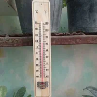 دماسنج چوبی