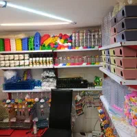 انواع طوطی|پرنده|اردبیل, |دیوار