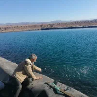 فروش و اجرای ورق استخری ژئوممبران