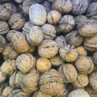 گردو قوچان ۳۸۰ تومان