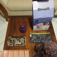 وسایل کوچک خانه|لوازم التحریر|ساری, |دیوار