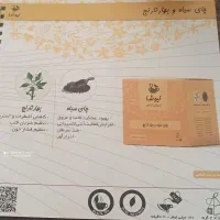 انواع چای های خاص با طعم میوه|خوردنی و آشامیدنی|زرقان, |دیوار