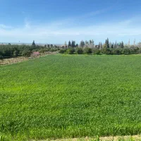 زمین برای سرمایه گذاری بهشر. خلیل شهر