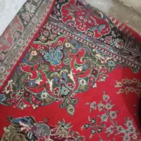 فرش دوازده متری|فرش|اهواز, زیتون کارگری|دیوار