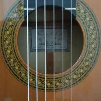 گیتارcordobaاسپانیا