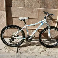 دوچرخه VIVA|دوچرخه، اسکیت، اسکوتر|ملایر, |دیوار