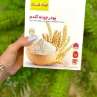 پودر جوانه گندم اصل تضمینی