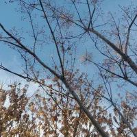 سوال در مورد سند خونه