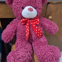 عروسک پولیشی