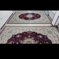 یک جفت فرش ۱۲متری