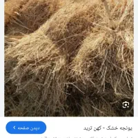یونجه