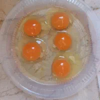 تخم مرغ محلی(رسمی) تازه و به روز از درب مرغداری|خوردنی و آشامیدنی|تهران, شهرک غرب|دیوار