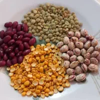 لوبیا چیتی و قرمز و عدس و لپه|عمدهفروشی|کرج, حصارک بالا|دیوار