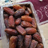 فروش خرمای امسال درجه یک عسلی