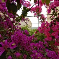 لوکس نوساز مبله تماس 24 ساعته جوابگو