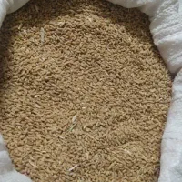 گندم|خوردنی و آشامیدنی|جوین, |دیوار