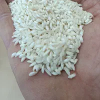 قلوه هاشمی ، نیم دانه ، سالم