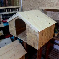 خانه پت / چوبی|لوازم جانبی حیوانات|مشهد, الهیه|دیوار