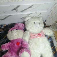 اروسک خرسی دو عدد مارک|اسباببازی بچه|رشت, نیروی دریایی|دیوار