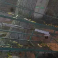 کلیه وسایل میوه فروشی|فروشگاه و مغازه|ملایر, |دیوار