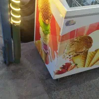 یخچال بستنی|یخچال و فریزر|میانه, |دیوار