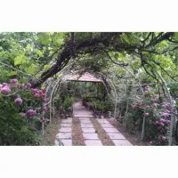 باغ ویلا سهیلیه سنقرآباد گلستان دو غربی|فروش خانه و ویلا|چهارباغ, |دیوار